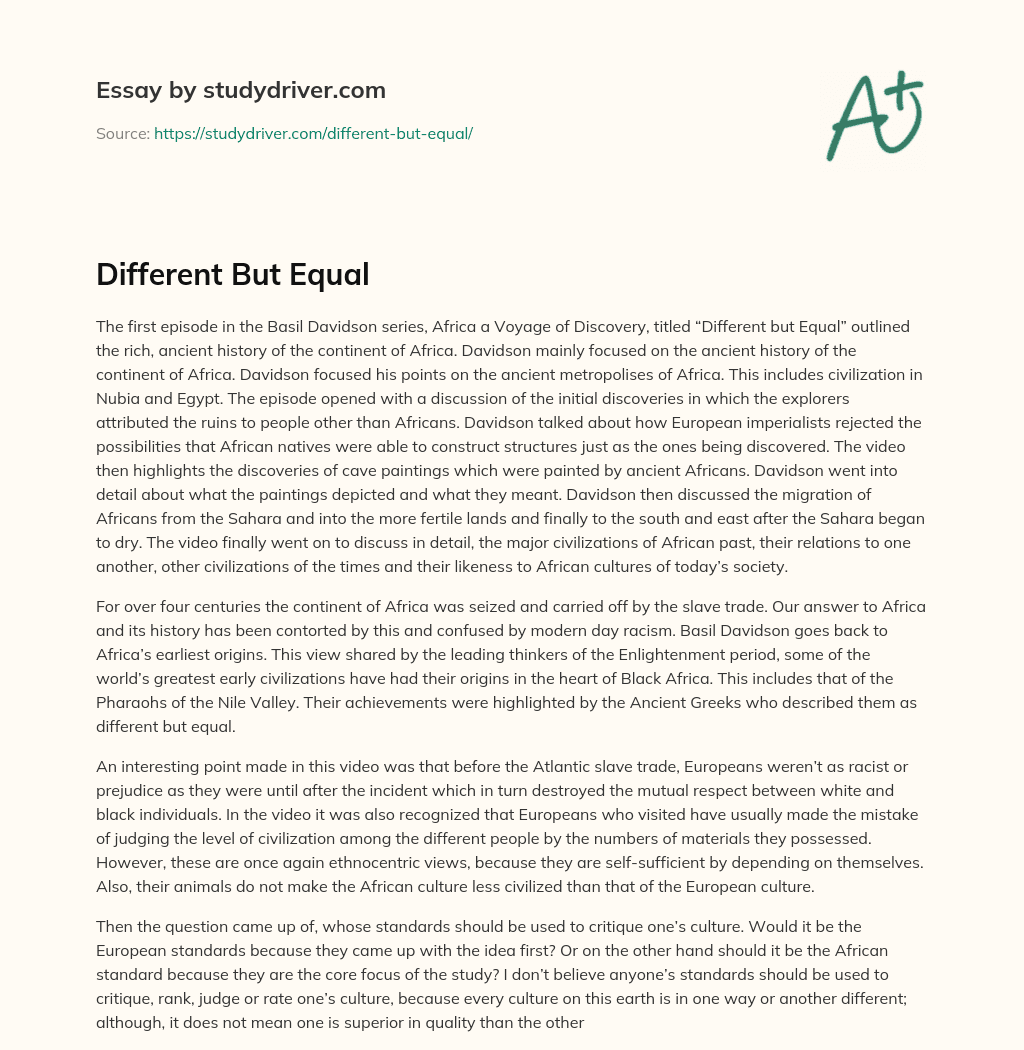 Different but Equal essay