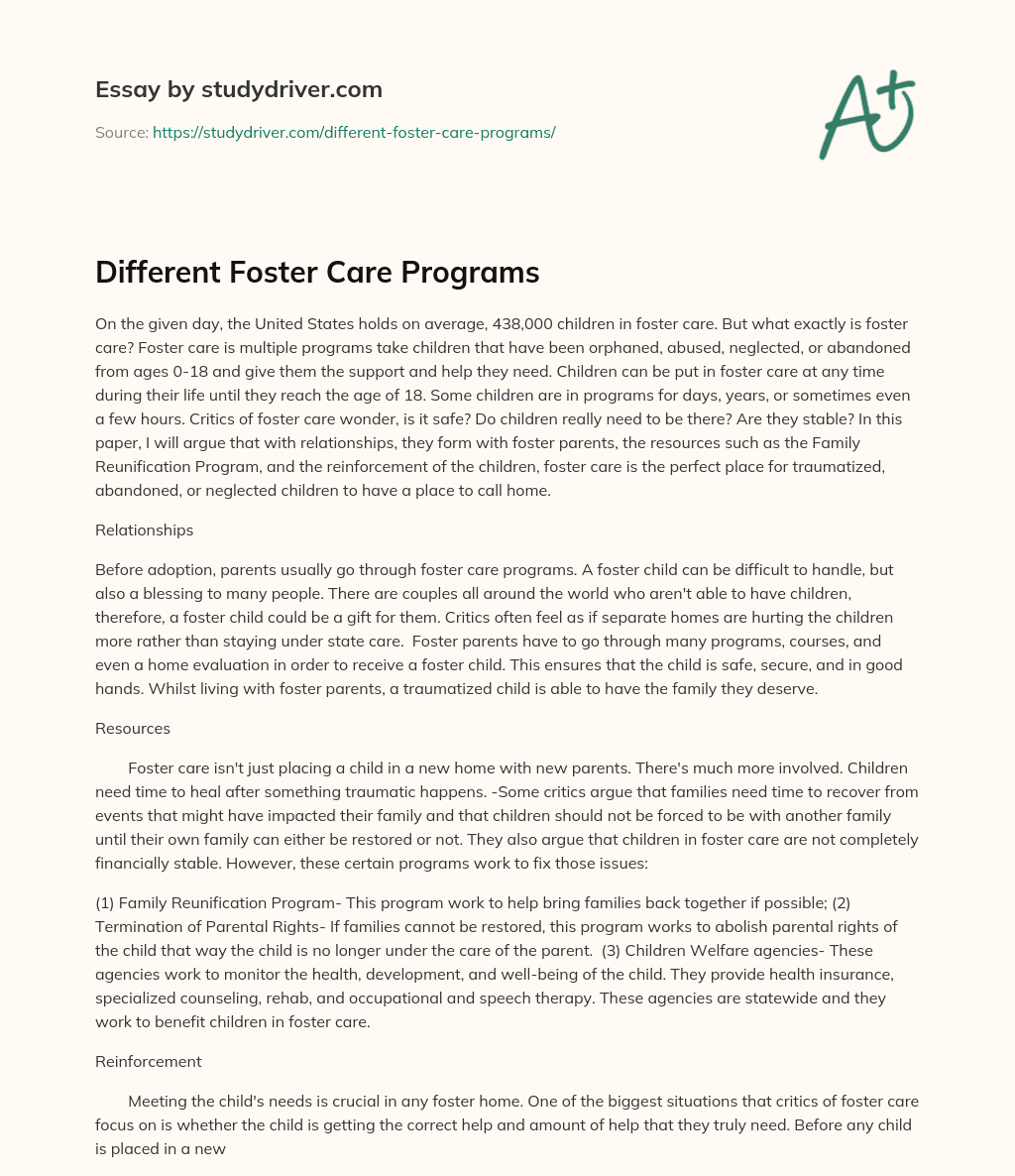 Different Foster Care Programs essay
