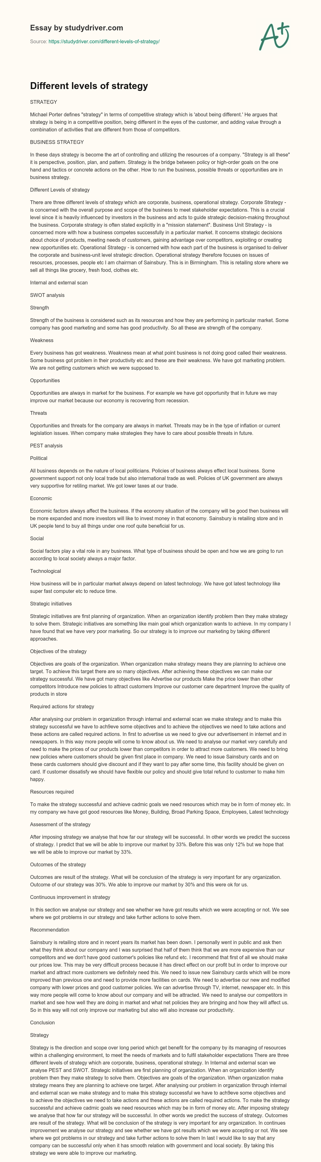 Different Levels of Strategy essay