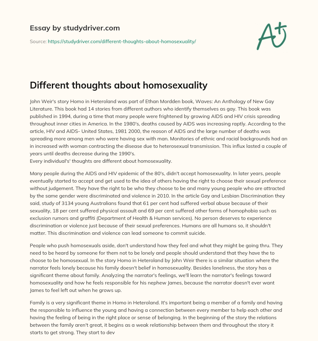 Different Thoughts about Homosexuality essay