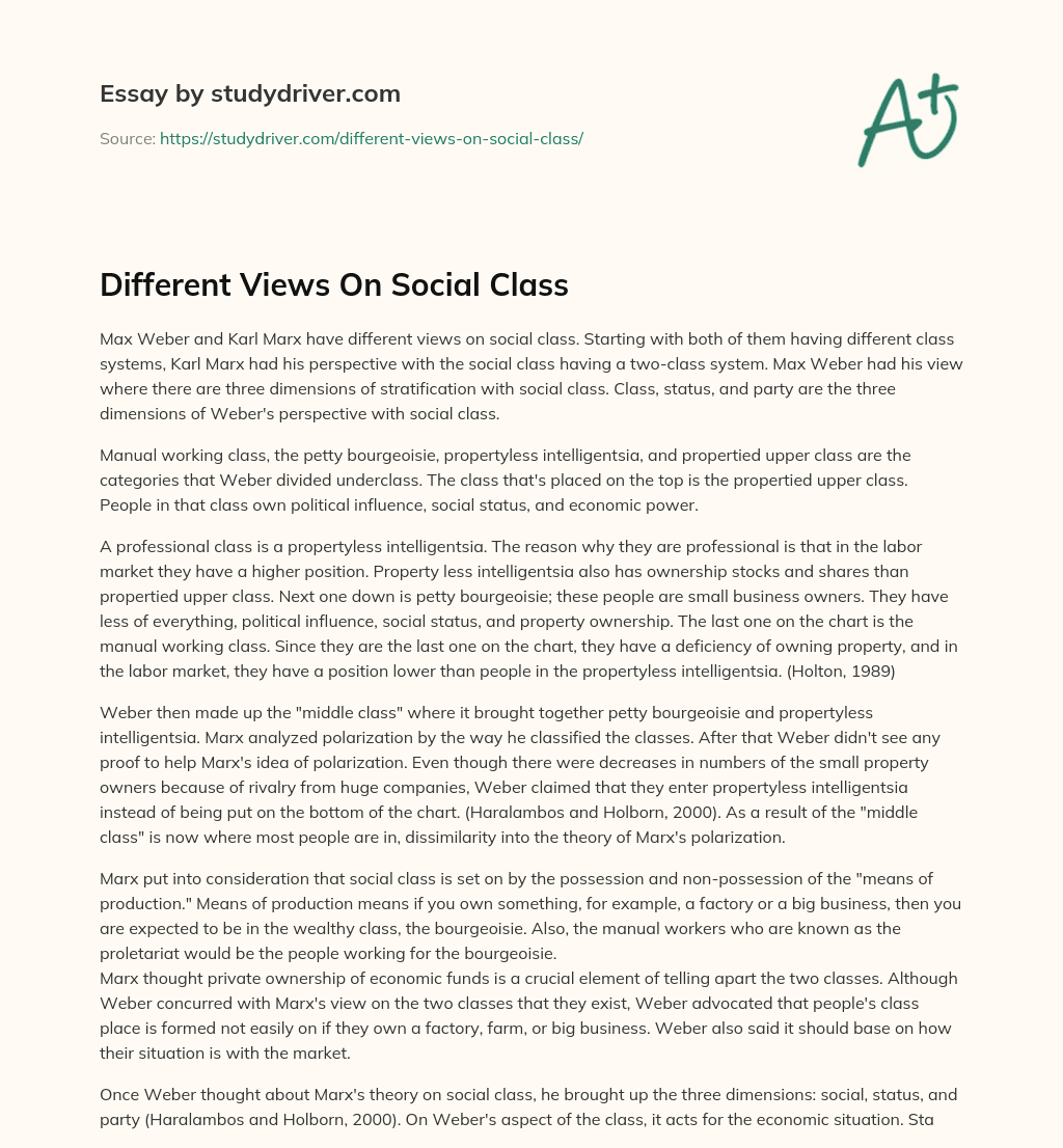 Different Views on Social Class essay