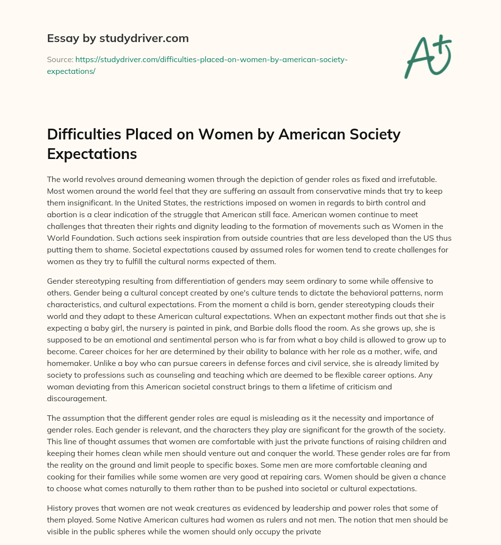 Difficulties Placed on Women by American Society Expectations essay