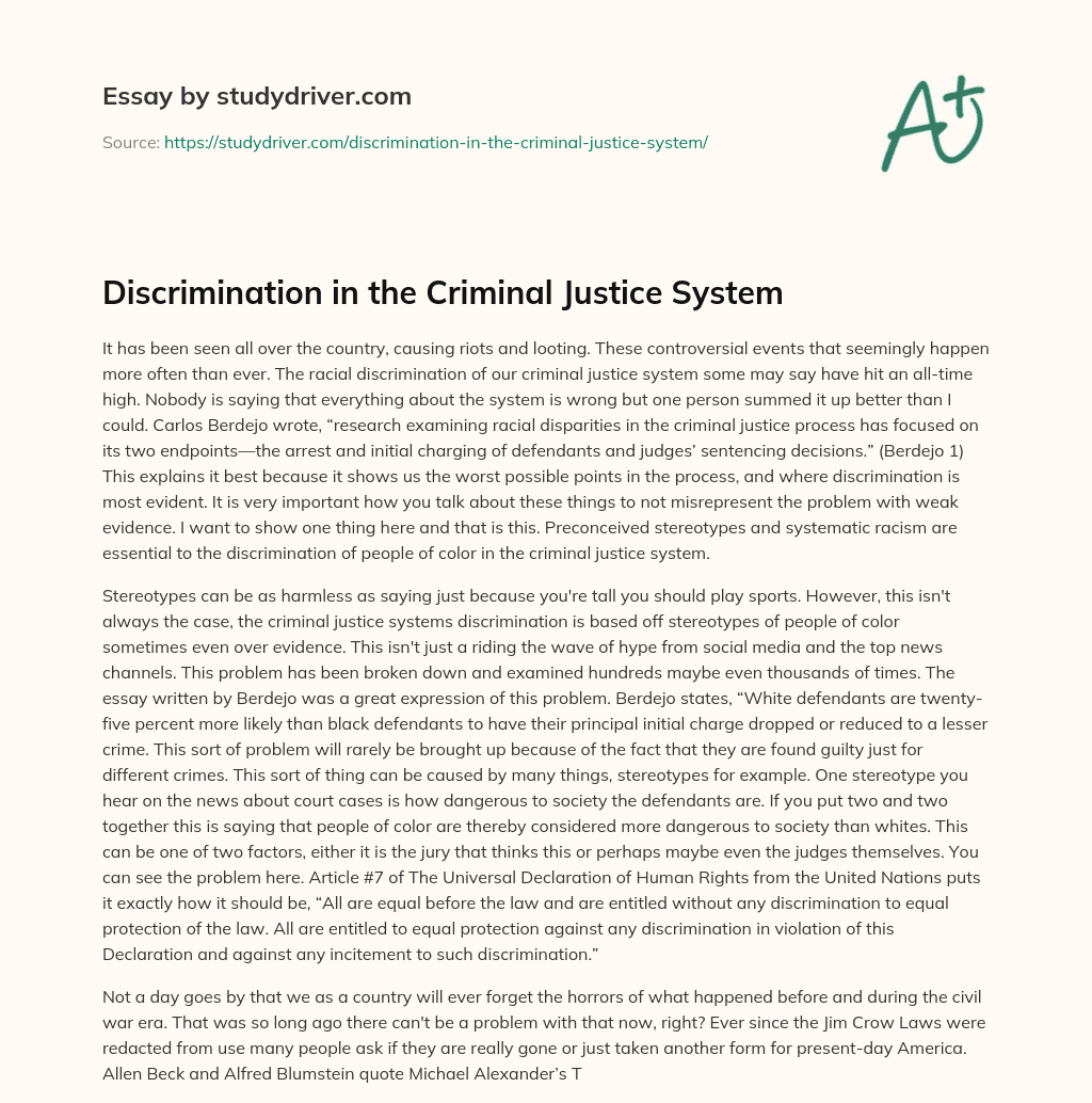 Discrimination in the Criminal Justice System essay