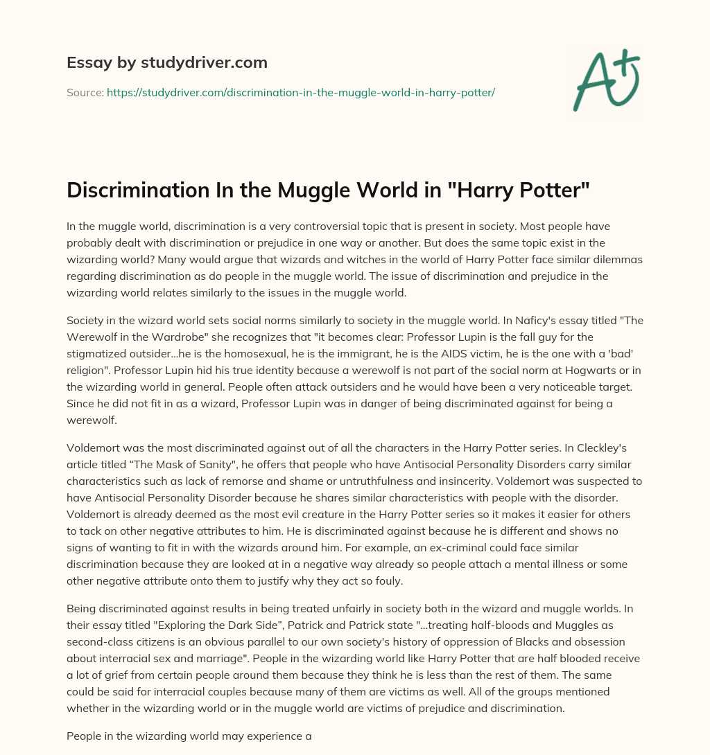 Discrimination in the Muggle World in “Harry Potter” essay