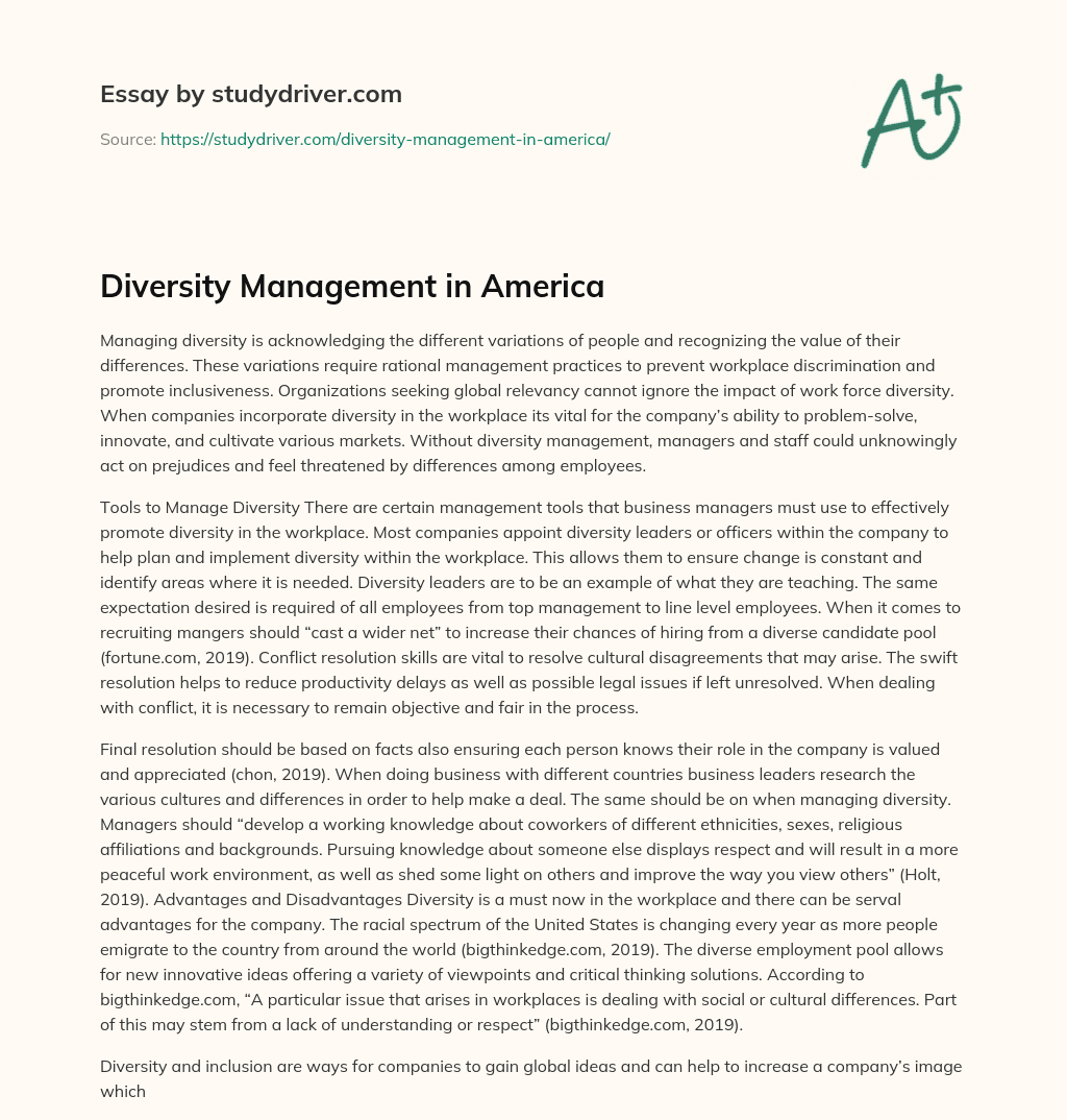 Diversity Management in America essay