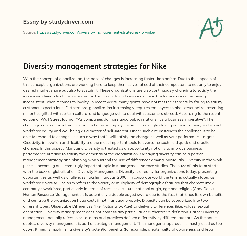 Diversity Management Strategies for Nike essay