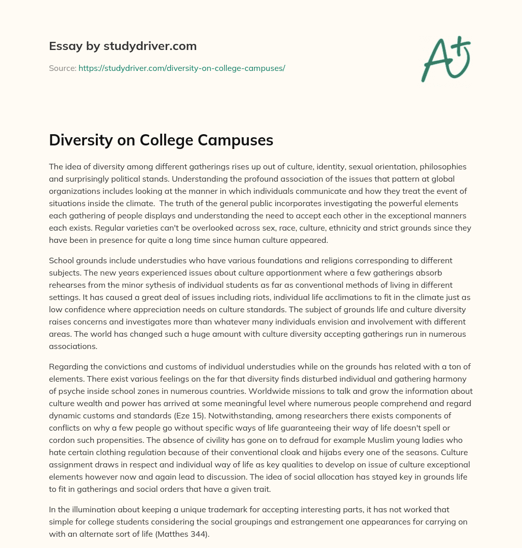 Diversity on College Campuses essay