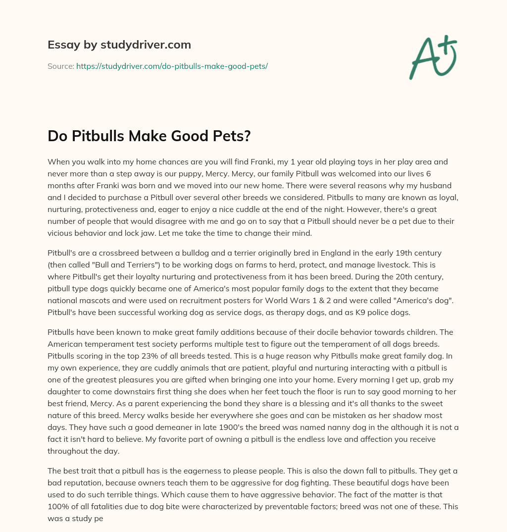 Do Pitbulls Make Good Pets? essay