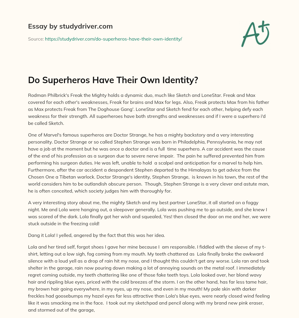 Do Superheros have their own Identity? essay