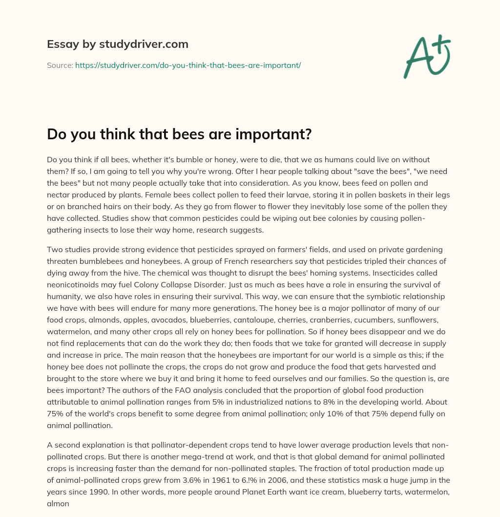 Do you Think that Bees are Important? essay