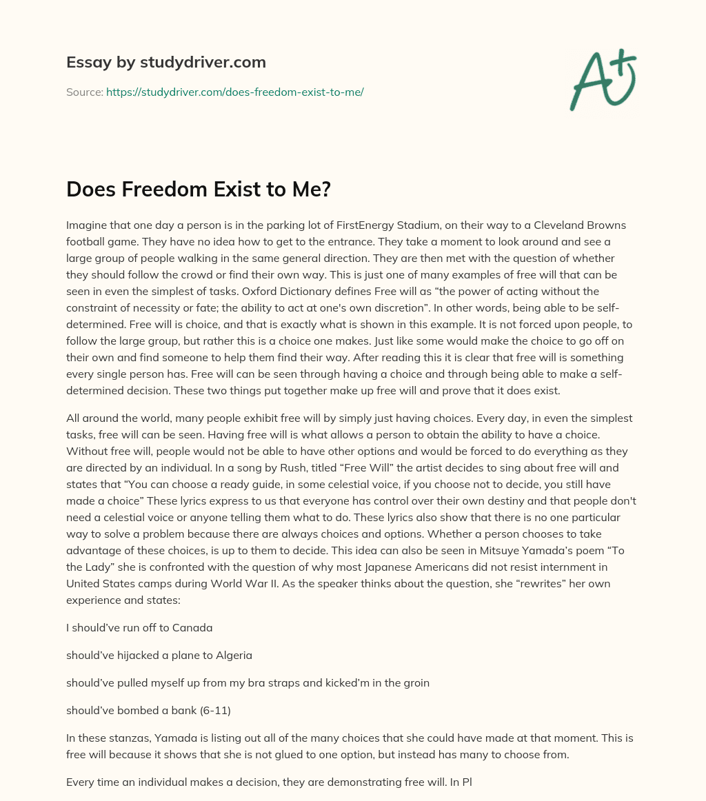 Does Freedom Exist to Me? essay