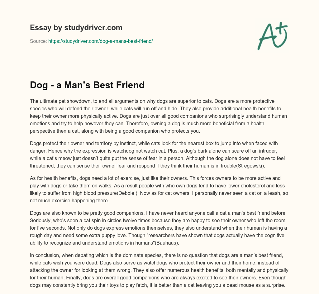 Dog – a Man’s Best Friend essay