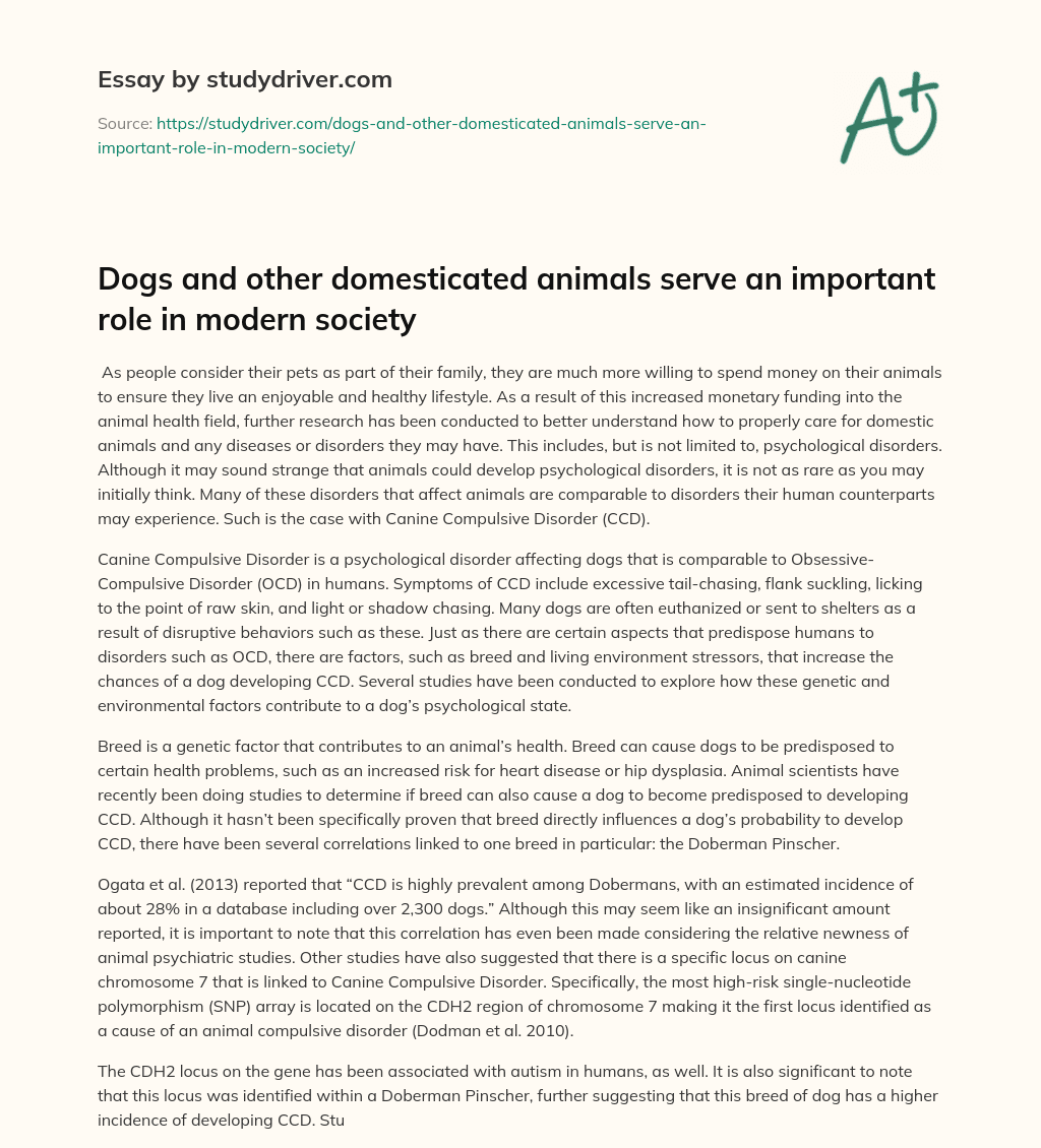 Dogs and other Domesticated Animals Serve an Important Role in Modern Society essay