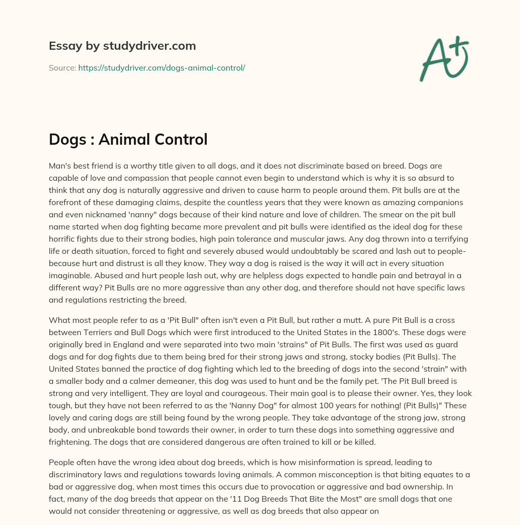 Dogs : Animal Control essay