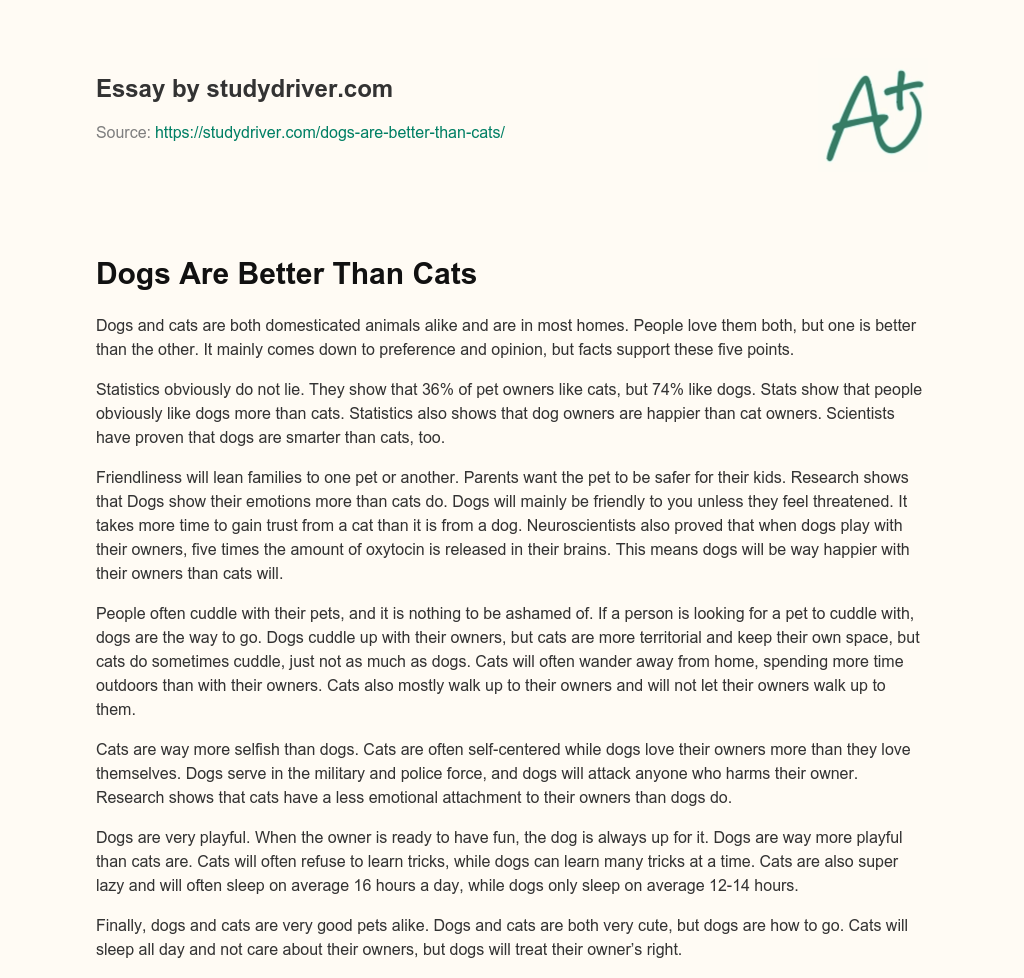 Dogs are Better than Cats essay