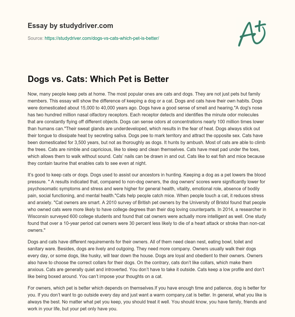 Dogs Vs. Cats: which Pet is Better essay