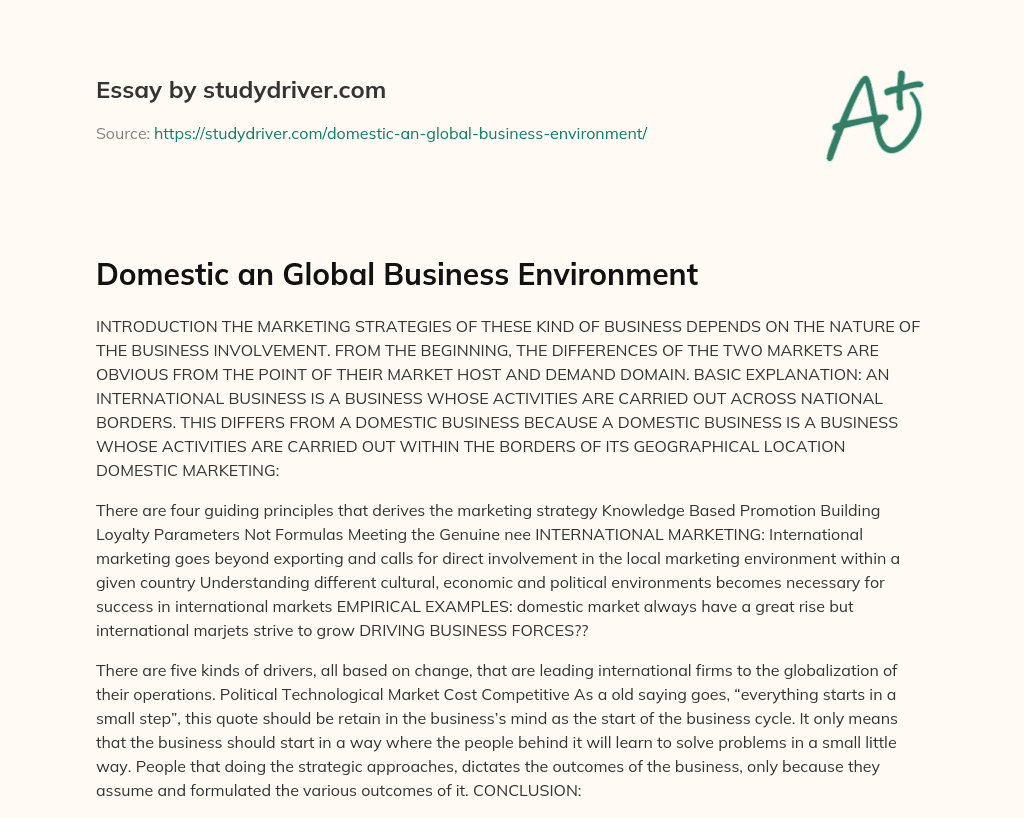 Domestic an Global Business Environment essay