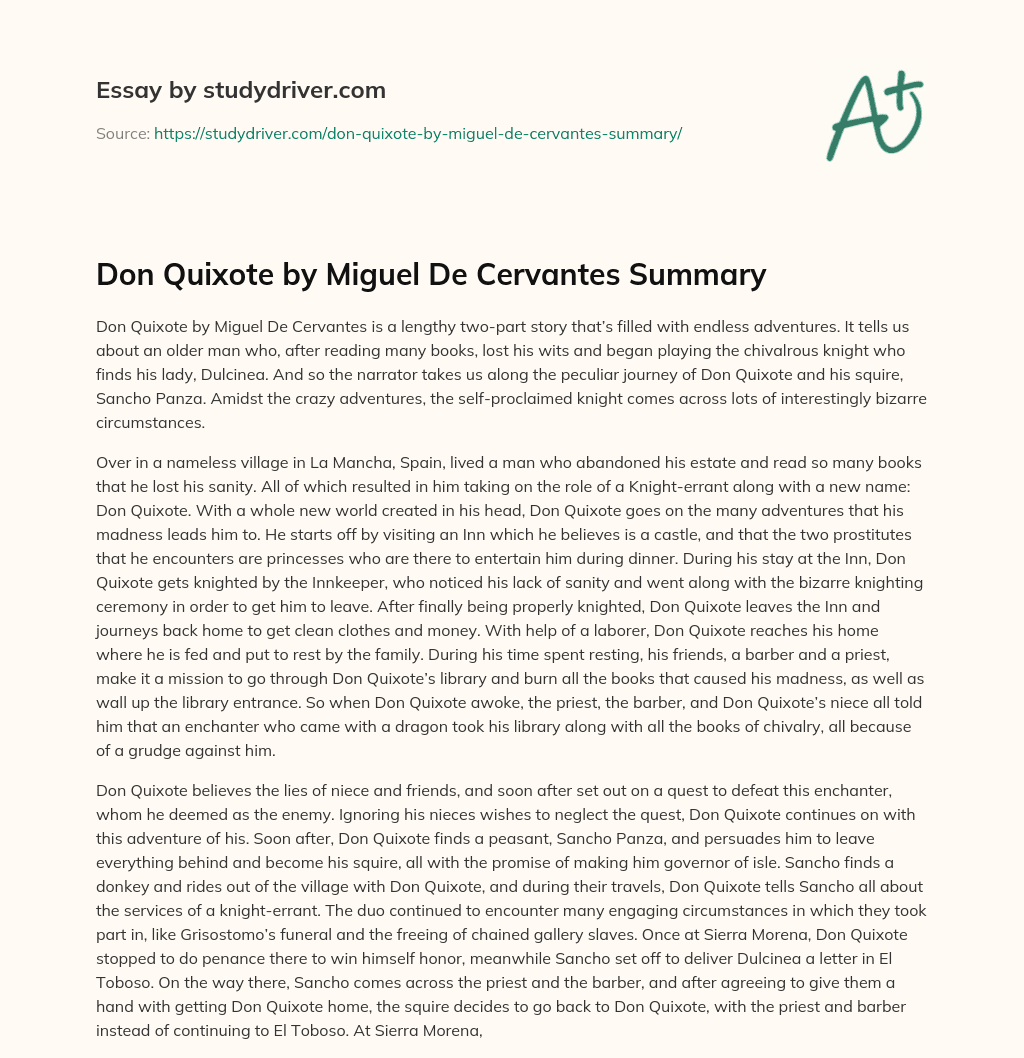 Don Quixote by Miguel De Cervantes Summary essay