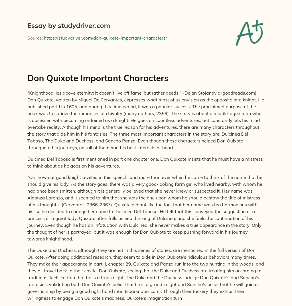 Don Quixote Important Characters essay