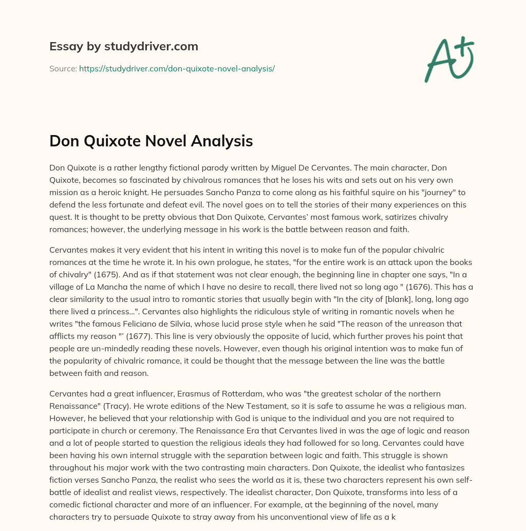 Don Quixote Novel Analysis essay