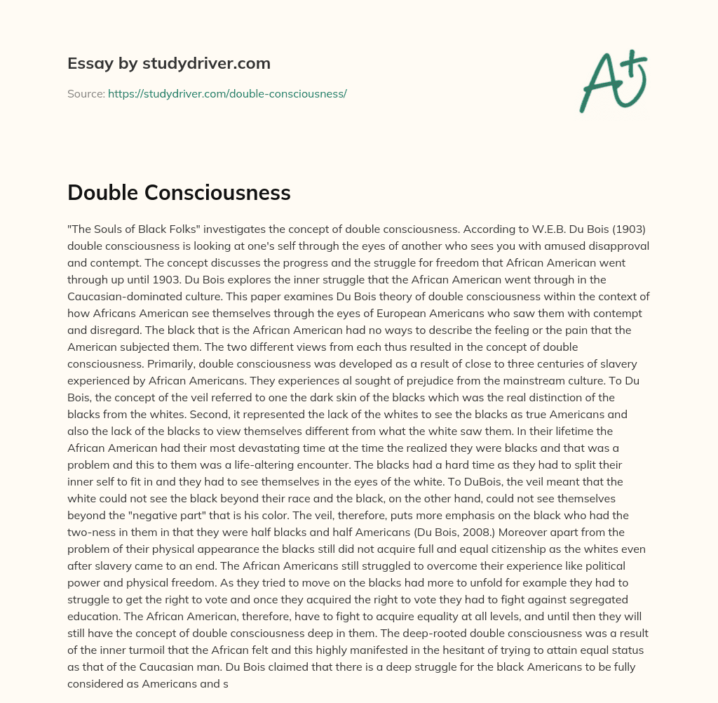Double Consciousness essay