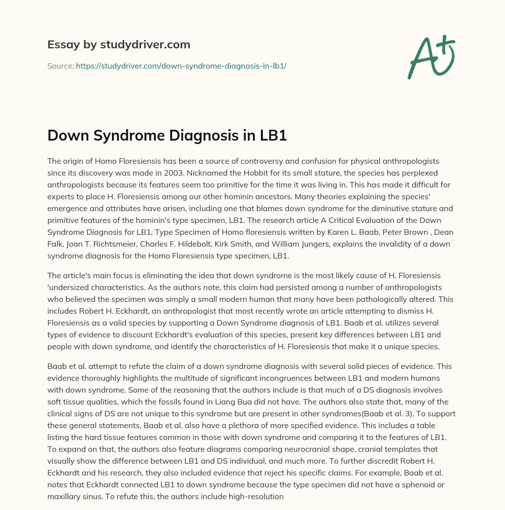 Down Syndrome Diagnosis in LB1 essay