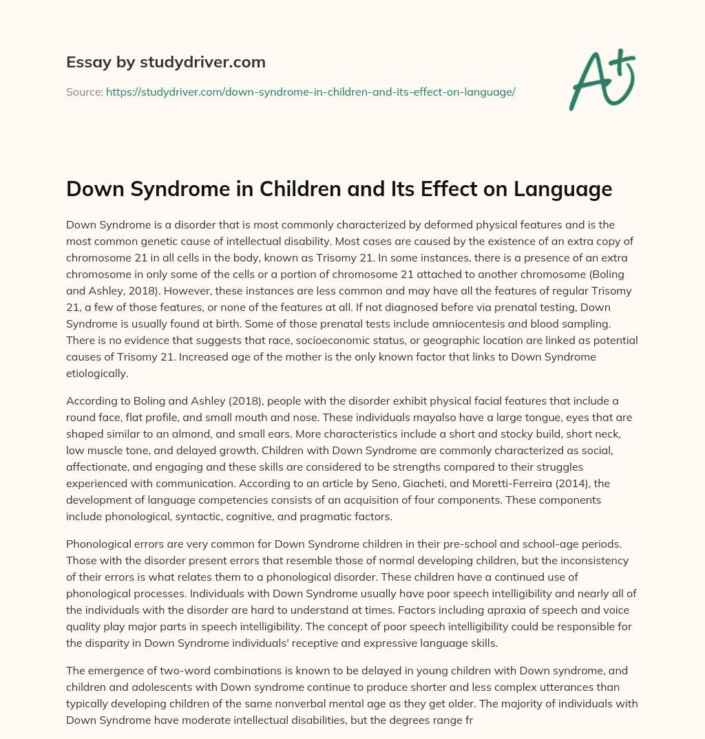 Down Syndrome in Children and its Effect on Language essay