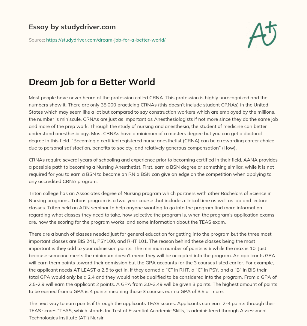 Dream Job for a Better World essay