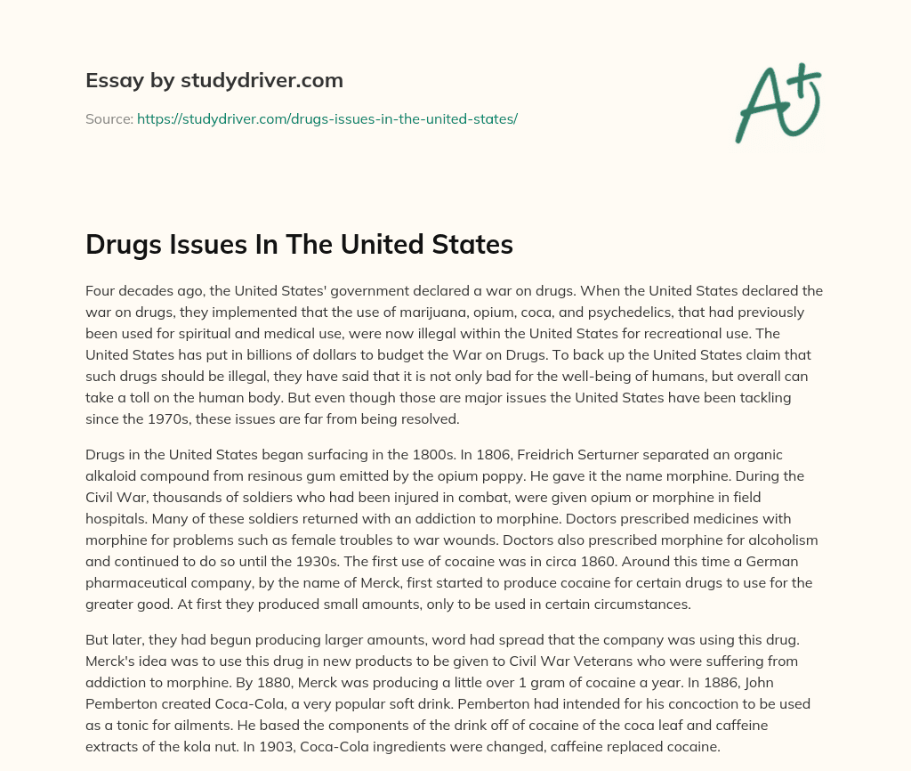Drugs Issues in the United States essay