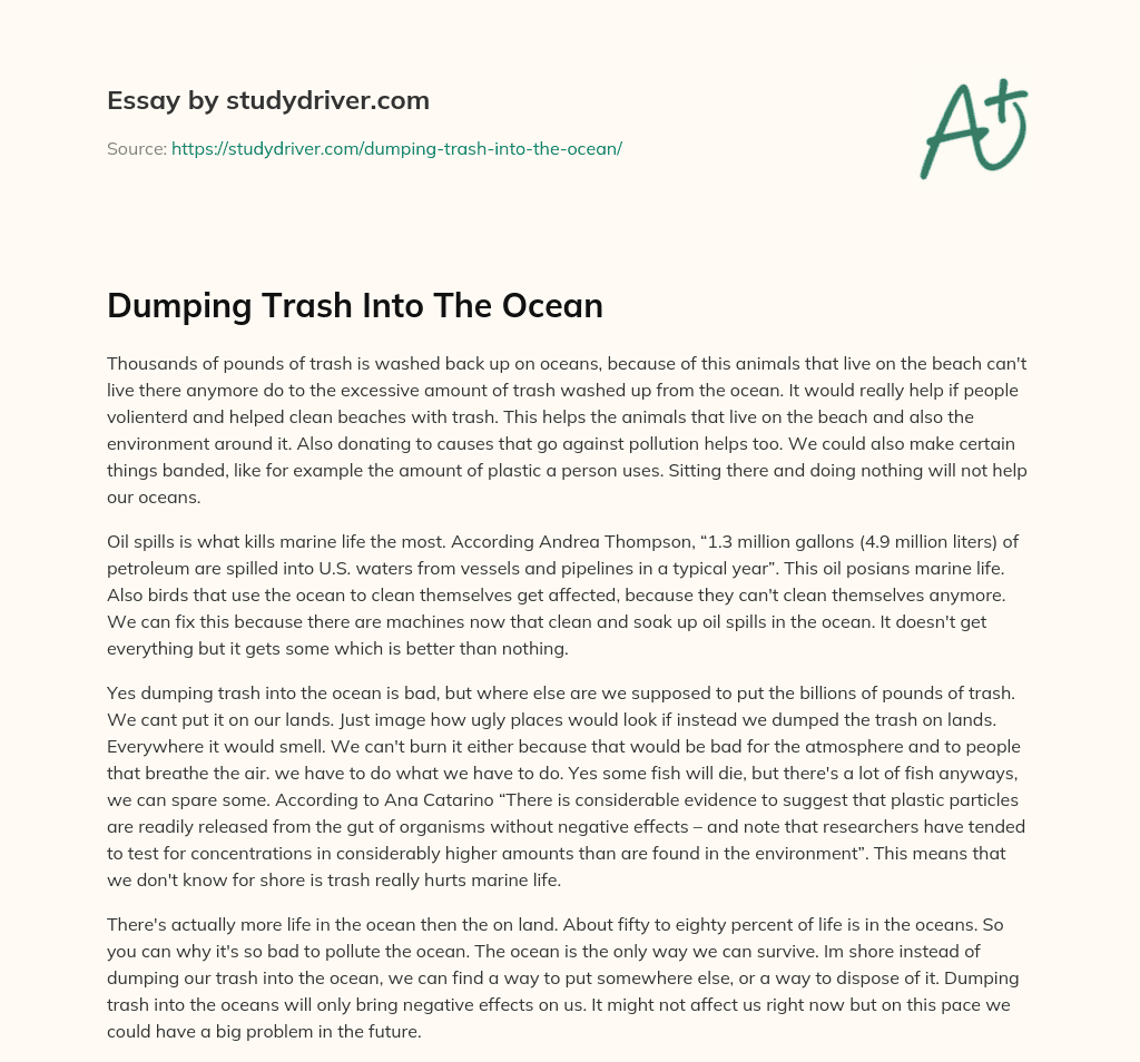 Dumping Trash into the Ocean essay