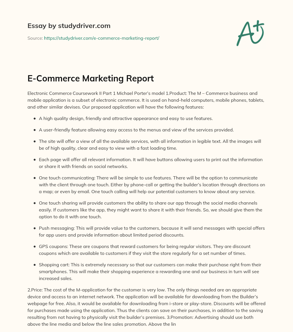 E-Commerce Marketing Report essay