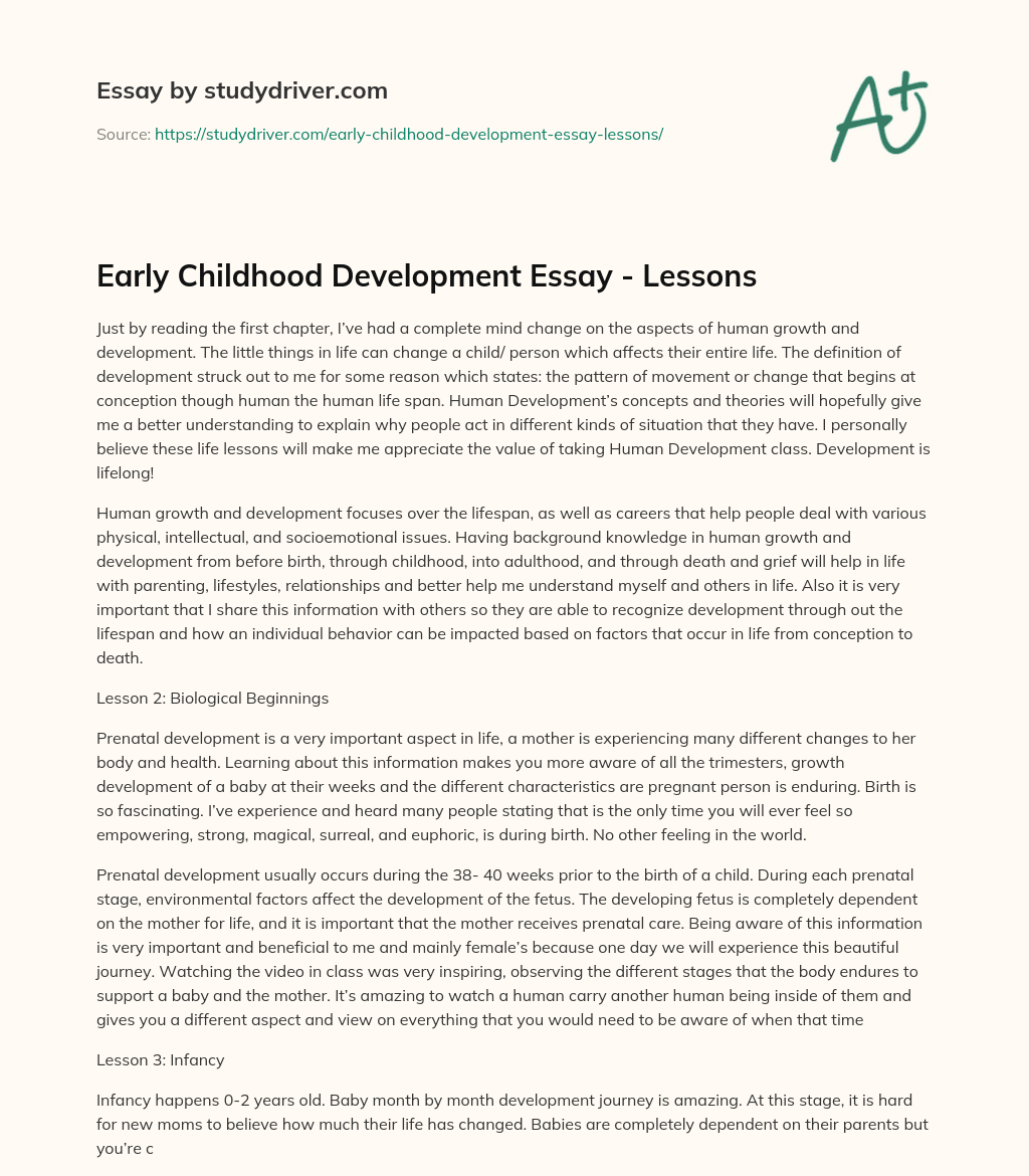 Early Childhood Development Essay – Lessons essay