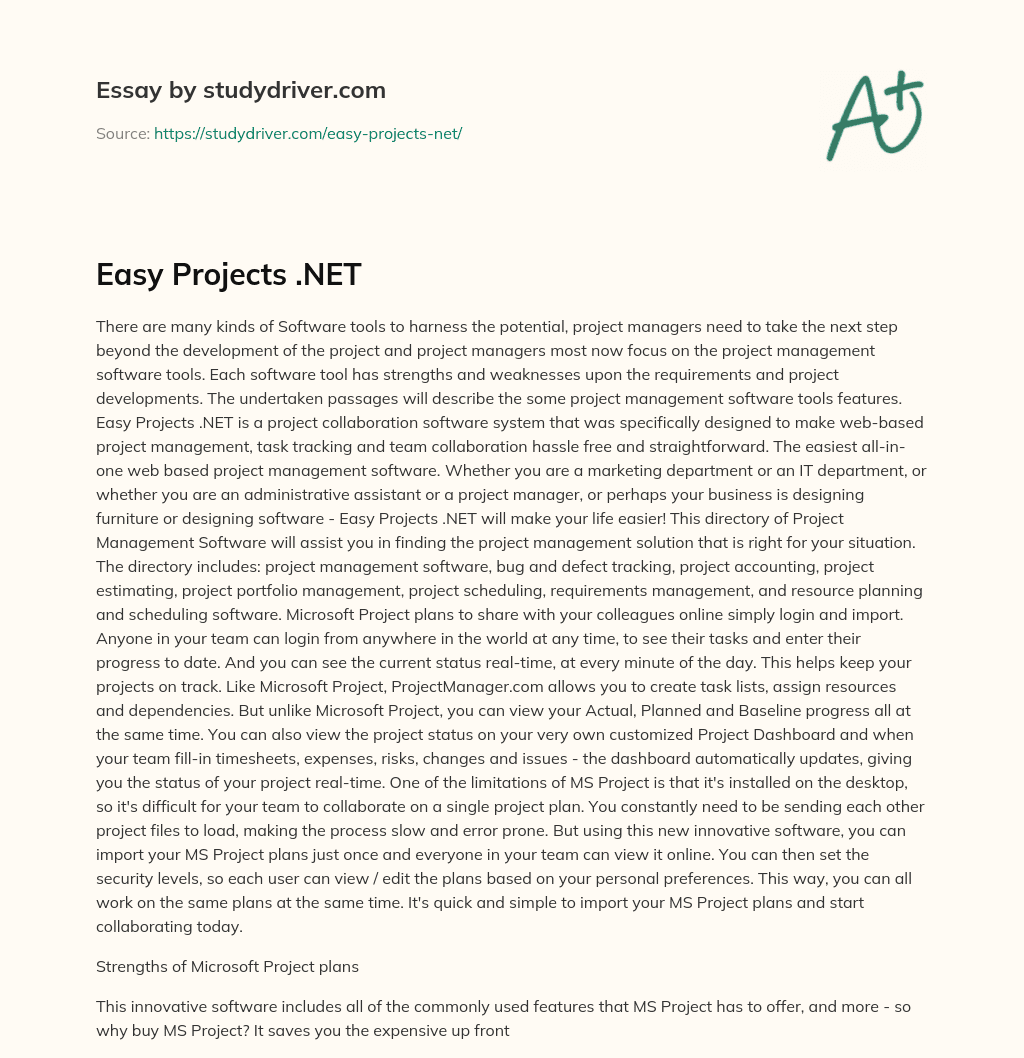 Easy Projects .NET essay
