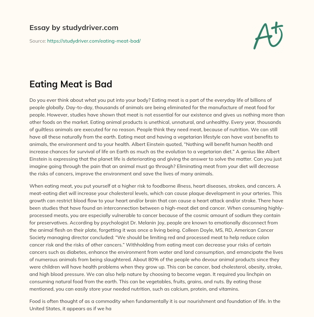 Eating Meat is Bad essay