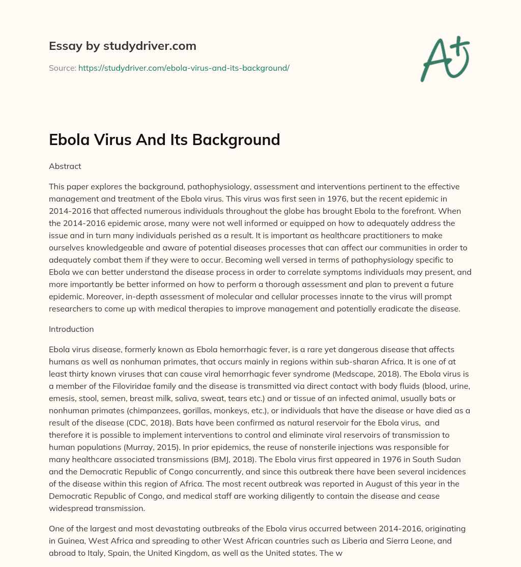 Ebola Virus and its Background essay