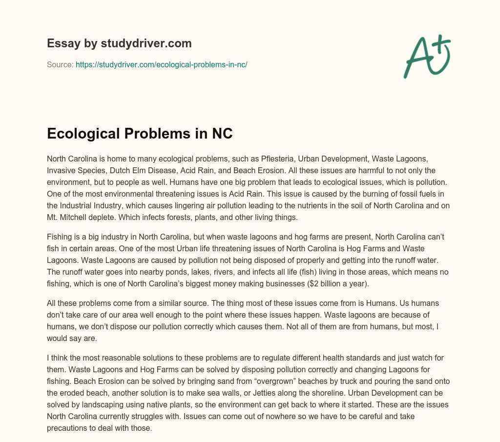 Ecological Problems in NC essay