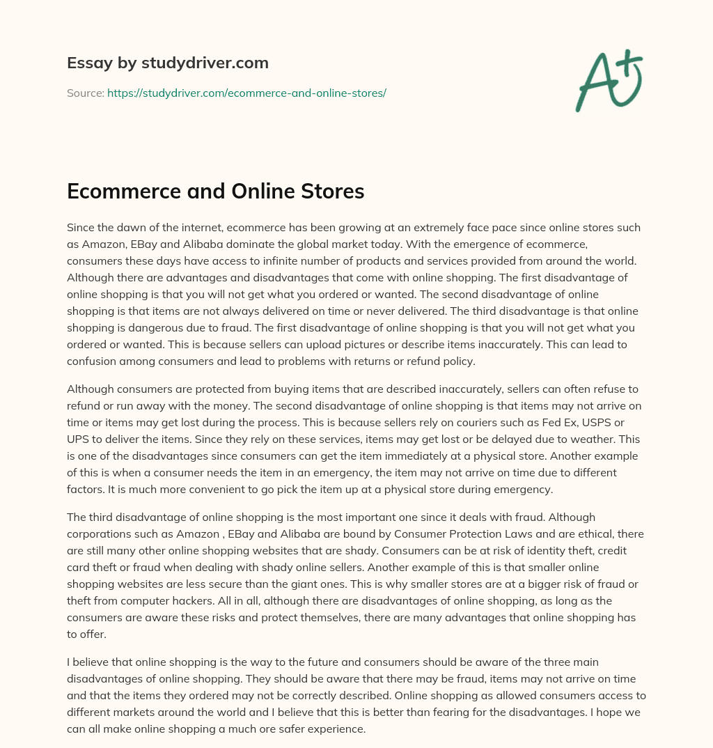 Ecommerce and Online Stores essay
