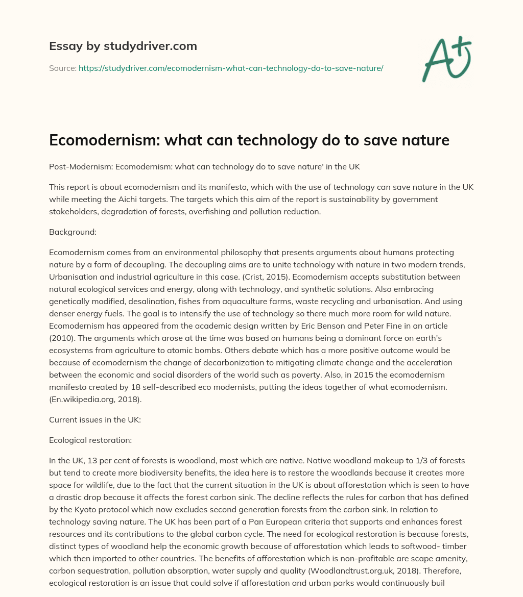 Ecomodernism: what Can Technology do to Save Nature essay