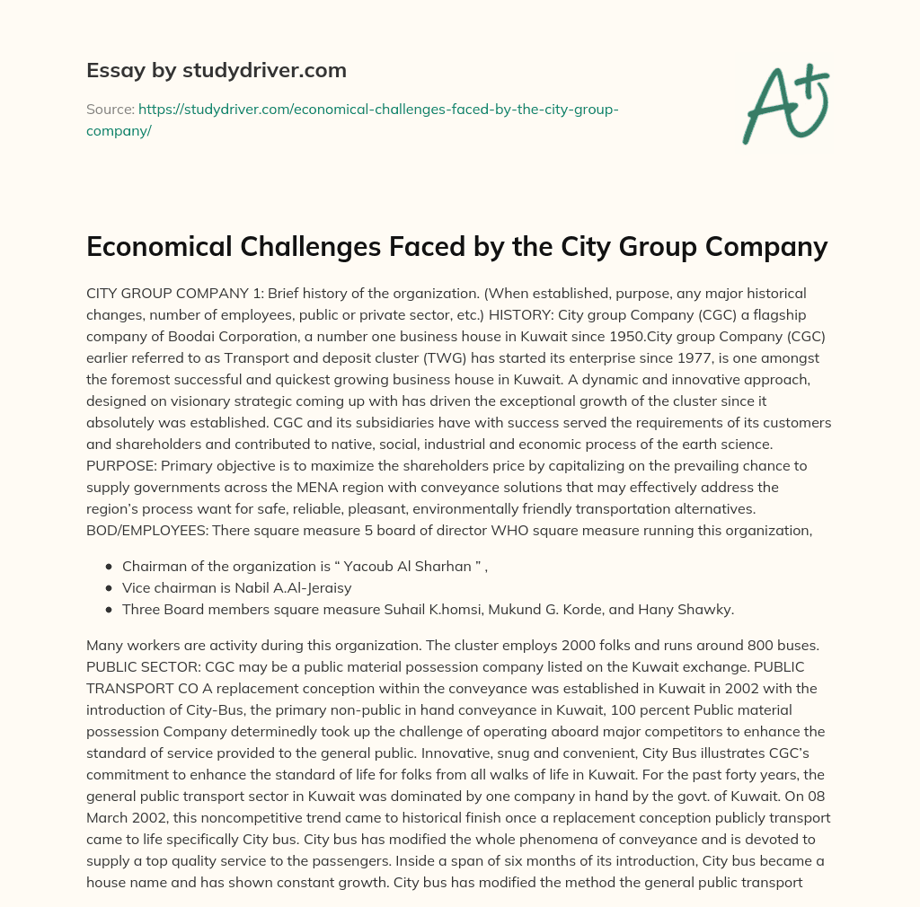 Economical Challenges Faced by the City Group Company essay