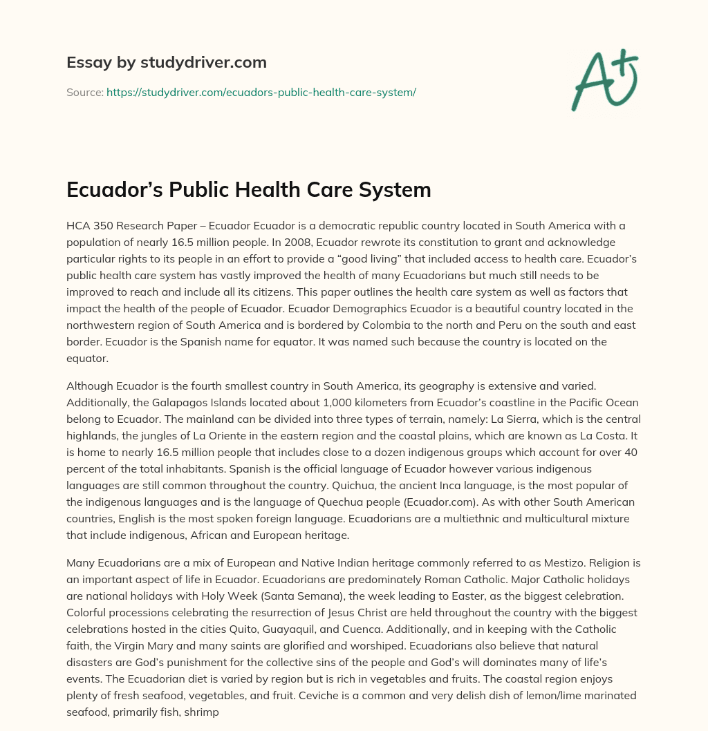 Ecuador’s Public Health Care System essay