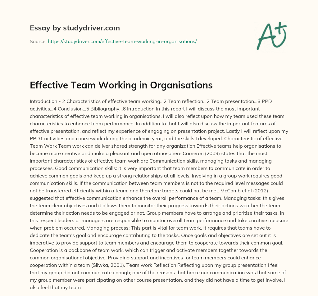 Effective Team Working in Organisations essay