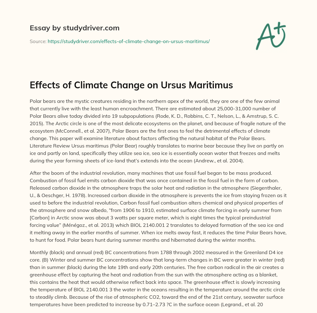 Effects of Climate Change on Ursus Maritimus essay