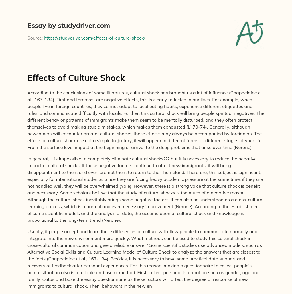 Effects of Culture Shock essay