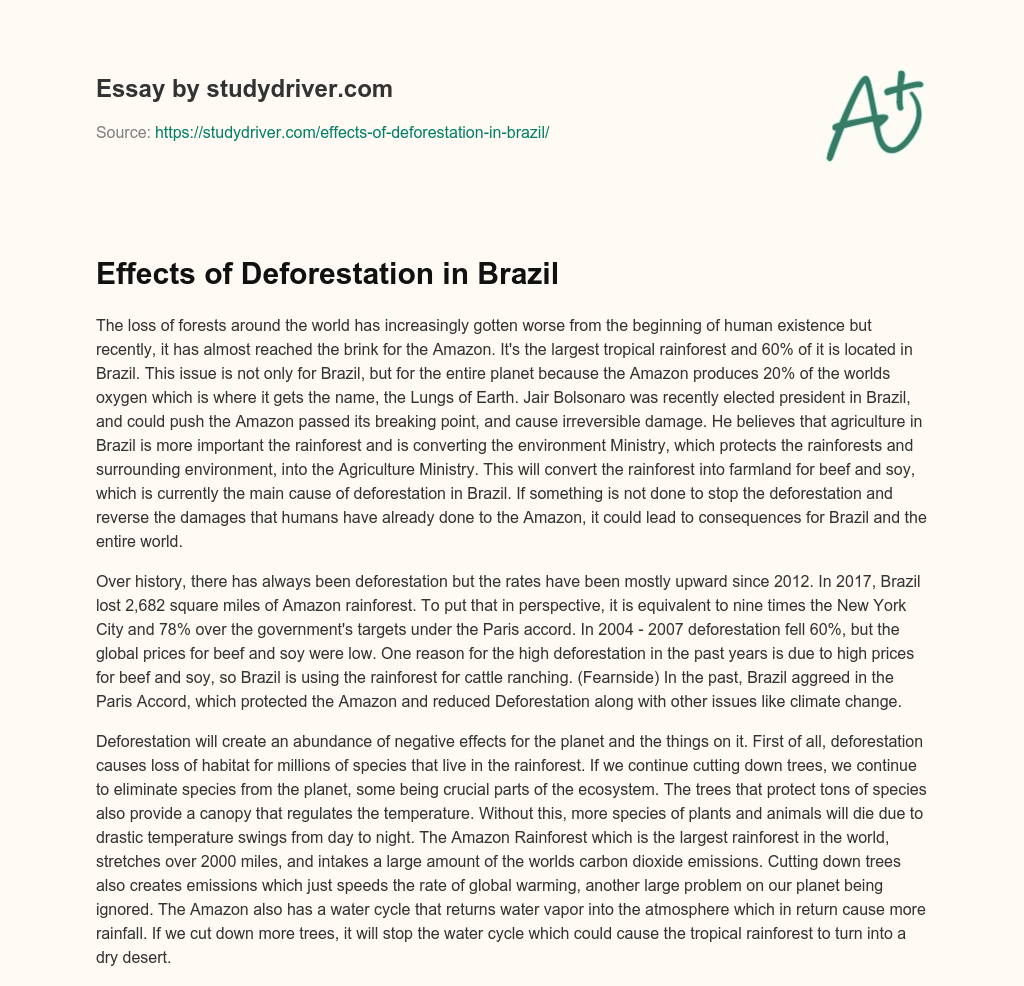 Effects of Deforestation in Brazil essay