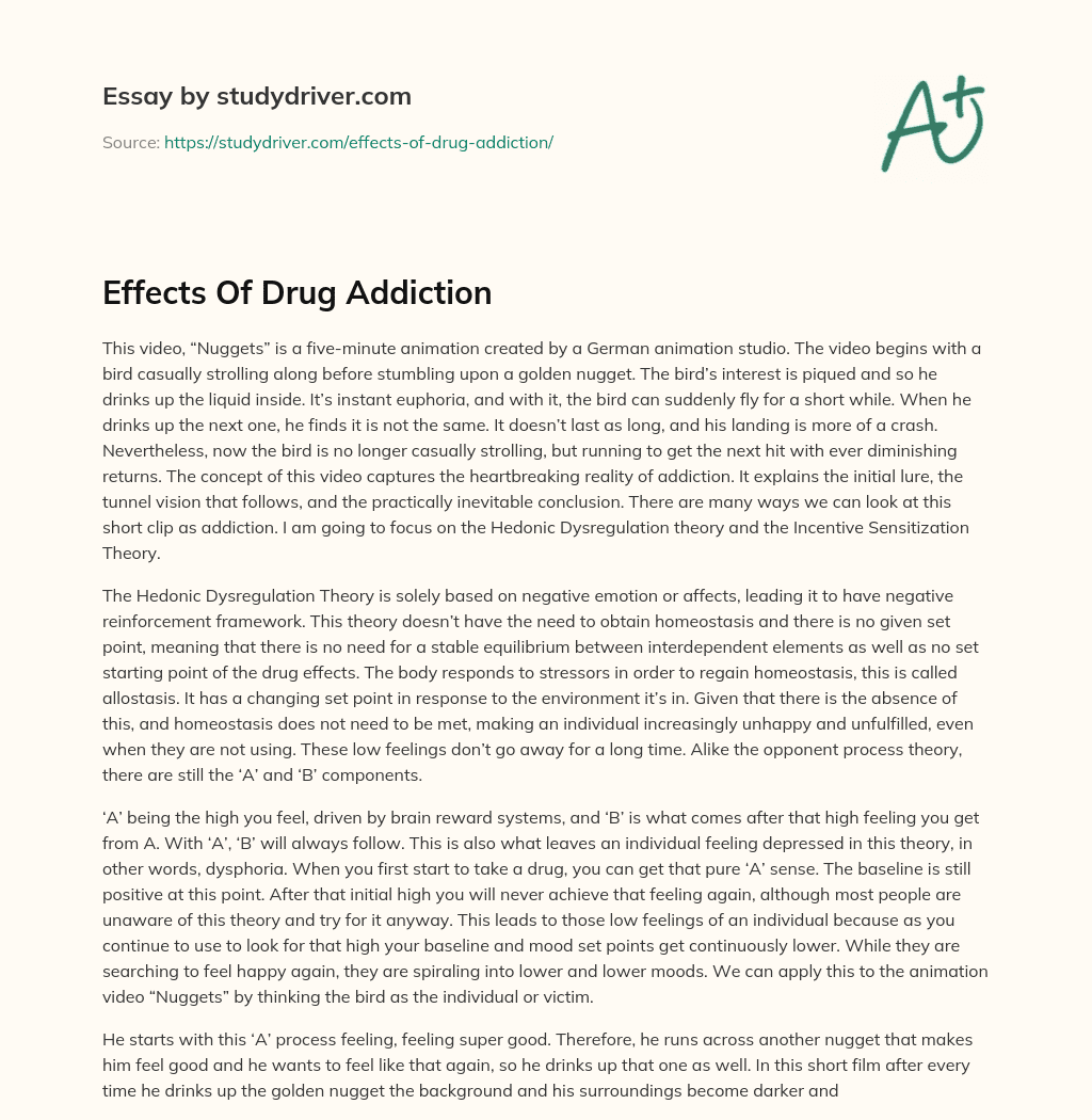 Effects of Drug Addiction essay