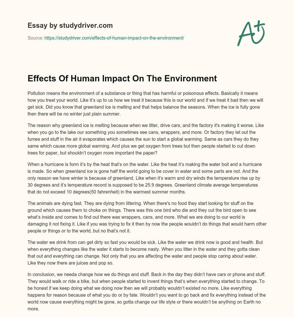 Effects of Human Impact on the Environment essay