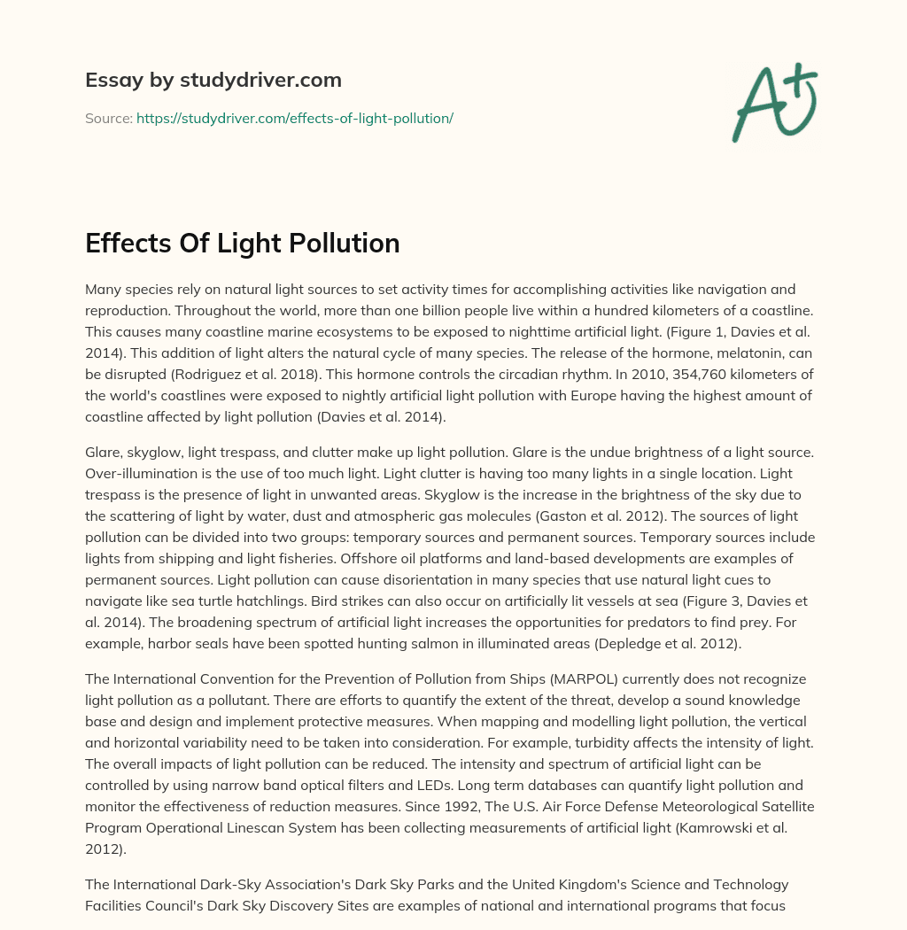 Effects of Light Pollution essay