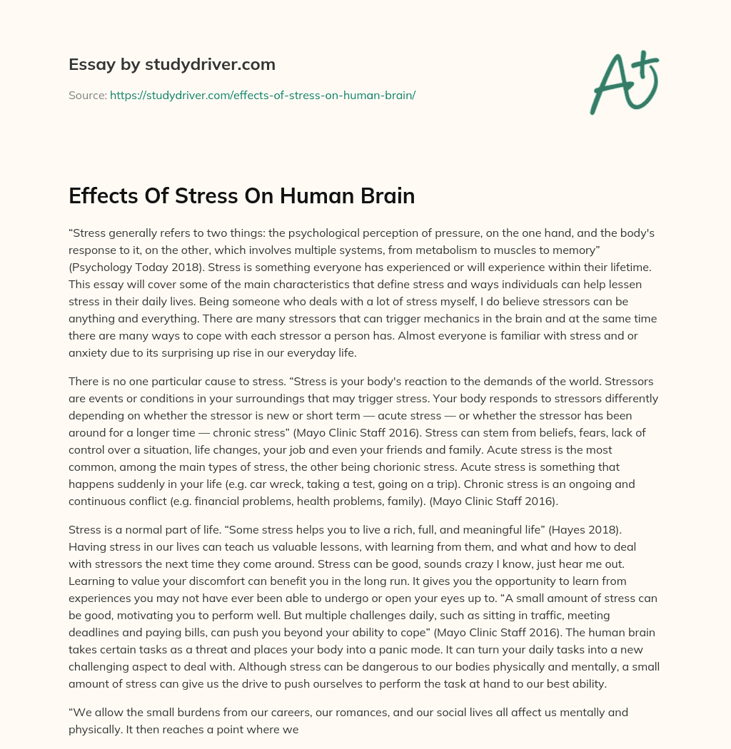 Effects of Stress on Human Brain essay