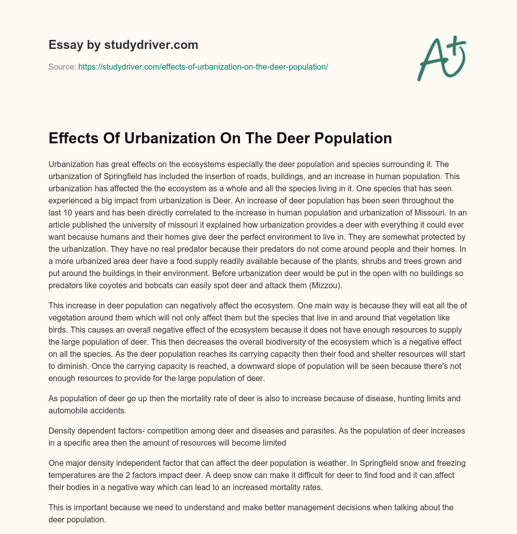 Effects of Urbanization on the Deer Population essay