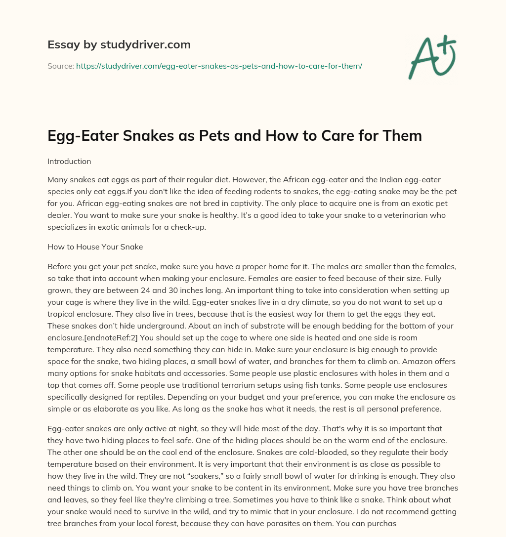 Egg-Eater Snakes as Pets and how to Care for them essay